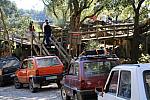 IMG-0429
