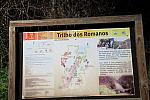 IMG-0432