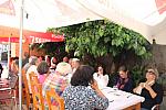 IMG-0459