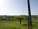 mini DSC07857