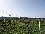 mini DSC07859