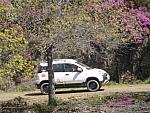 mini DSC08003