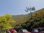 mini DSC08019