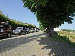 mini DSC08162