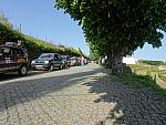 mini DSC08163
