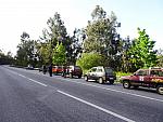 mini DSC08173