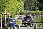 mini IMG 0875