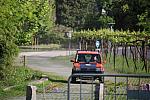 mini IMG 0876
