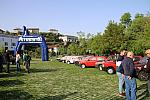 mini IMG 0878