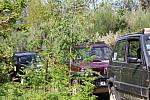 mini IMG 0912