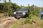 mini IMG 0914