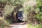mini IMG 0919