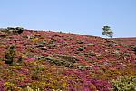 mini IMG 0944