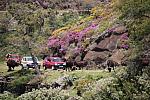 mini IMG 0947