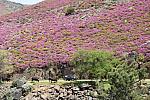 mini IMG 0955
