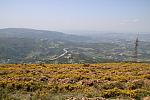 mini IMG 0957
