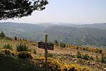 mini IMG 0958