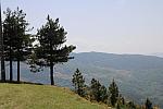 mini IMG 0960