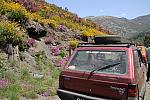mini IMG 0962