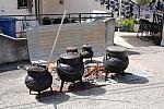 mini IMG 0969