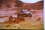 mini IMG 0991