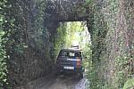 mini IMG 0998