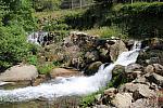 mini IMG 1021