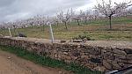 CelsoMendes (10)