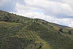IMG 1933