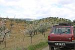IMG 1936