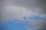IMG 1981