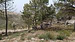bmps2003 (44)