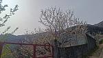 bmps2003 (73)