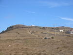 IMG_3284.jpg