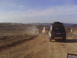 PICT0003.JPG