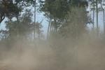 img_0438-qpr