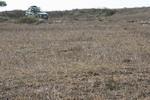 img_0462-qpr