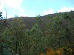 DSCN1595