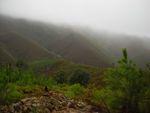 DSCN1746