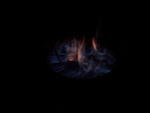 SAM_0280