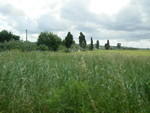 DSCN0006.JPG