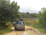 DSCN2131.JPG