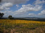 DSCN2179.JPG