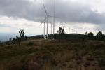 IMG_4636 (Pinheiro)