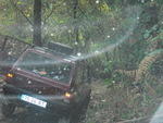CIMG0096.JPG