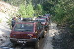 PandaOVAR 039.JPG