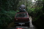 PandaOVAR 149.JPG