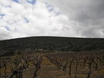 CIMG0291.JPG