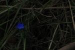 IMG_7597 (1024x683).jpg