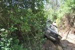 DSC 0129 (CÃ³pia)-01